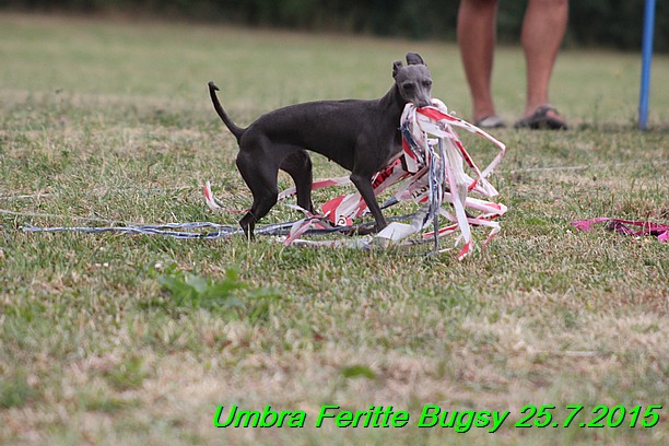 Umbra Feritte Bugsy 25.7.2015 (11)