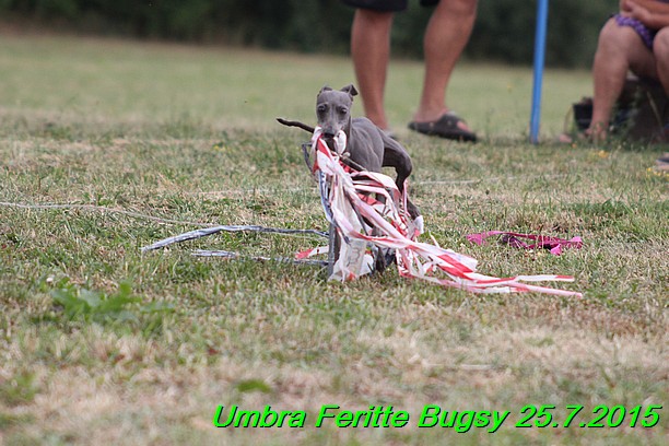 Umbra Feritte Bugsy 25.7.2015 (12)