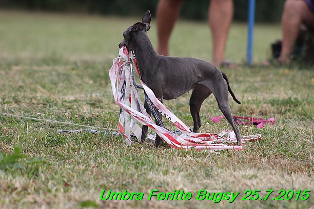 Umbra Feritte Bugsy 25.7.2015 (13)