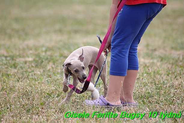 Gisele Feritte Bugsy 25.7.2015 (9)