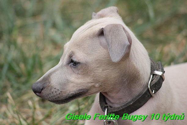 Gisele Feritte Bugsy 25.7.2015 (18)