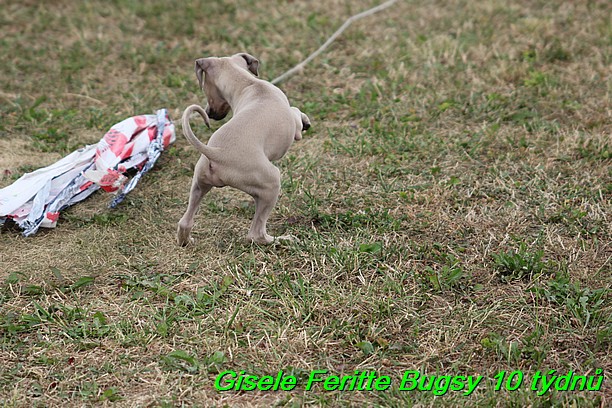 Gisele Feritte Bugsy 25.7.2015 (19)