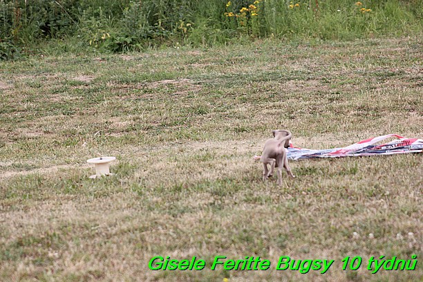 Gisele Feritte Bugsy 25.7.2015 (27)