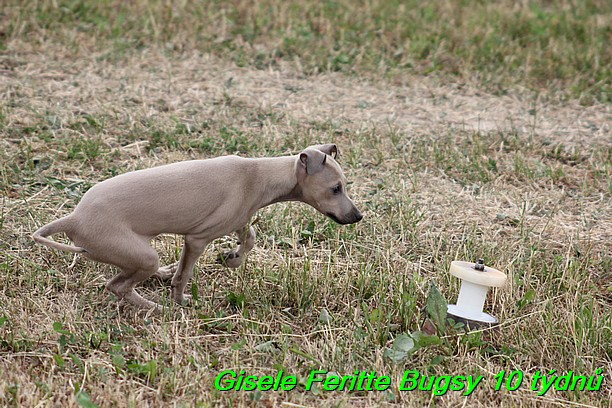 Gisele Feritte Bugsy 25.7.2015 (39)