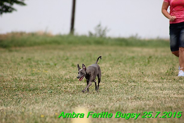 Ambra- Lolly Feritte Bugsy x Legolas Gil Endor (22)