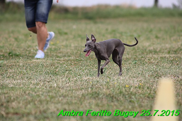 Ambra- Lolly Feritte Bugsy x Legolas Gil Endor (24)