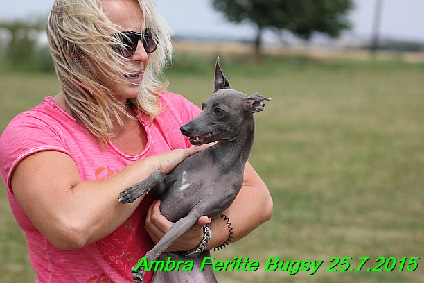 Ambra- Lolly Feritte Bugsy x Legolas Gil Endor (30)