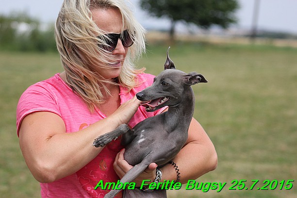 Ambra- Lolly Feritte Bugsy x Legolas Gil Endor (31)