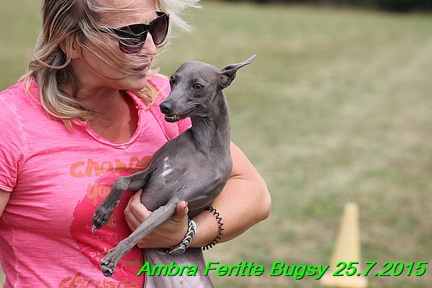 Ambra- Lolly Feritte Bugsy x Legolas Gil Endor (32)