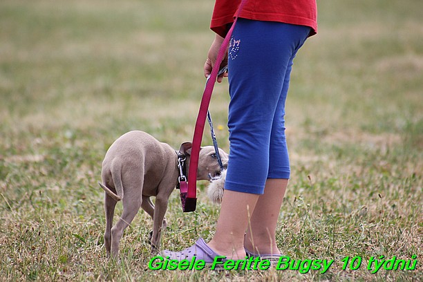 Gisele Feritte Bugsy 25.7.2015 (8)