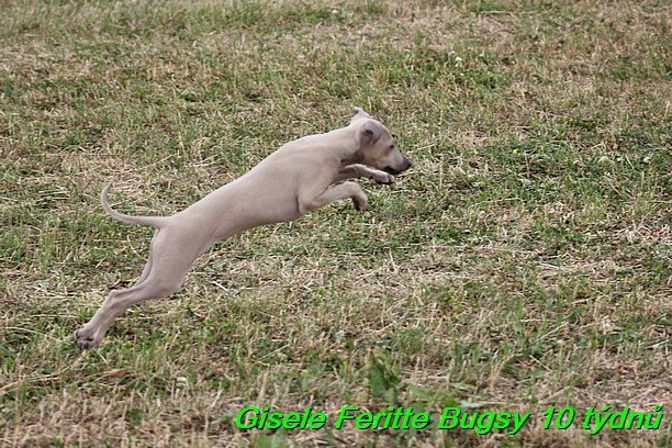 Gisele Feritte Bugsy 25.7.2015 (46)