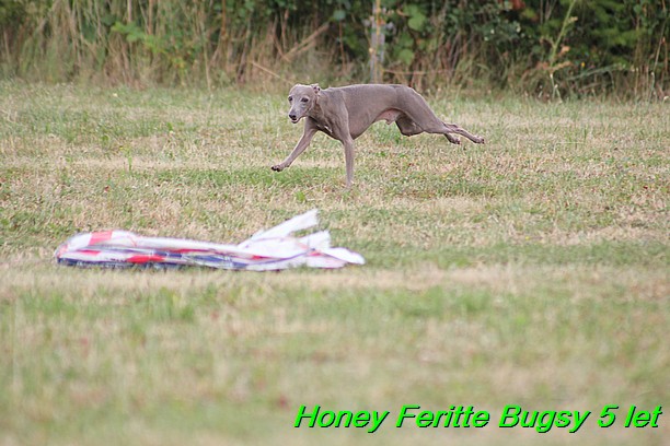 Honey Feritte Bugsy 25.7.2015 (37)