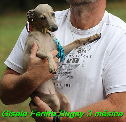 Gisele Feritte Bugsy 3 mesice (2)