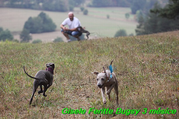 Gisele Feritte Bugsy 3 mesice (4)