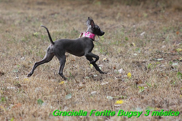 Graciella Feritte Bugsy 3 messice (1)