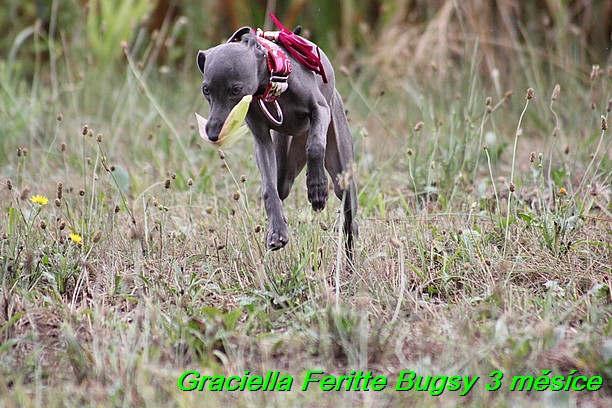 Graciella Feritte Bugsy 3 messice (69)