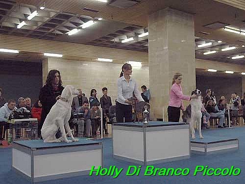 Holly Di Branco Piccolo 001 (18)