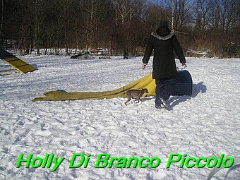 Holly Di Branco Piccolo 001 (26)