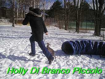 Holly Di Branco Piccolo 001 (27)
