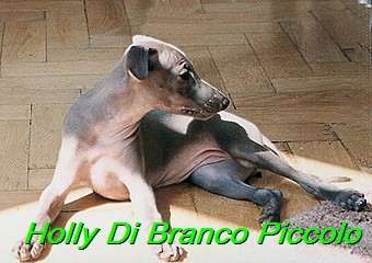 Holly Di Branco Piccolo 001 (35)