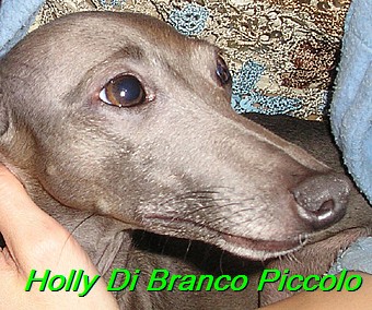 Holly Di Branco Piccolo 001 (42)