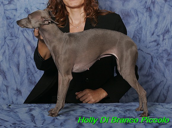 Holly Di Branco Piccolo 001 (43)