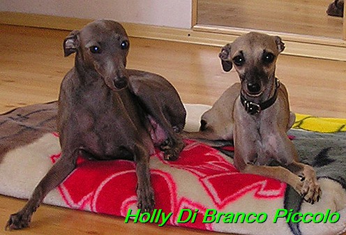 Holly Di Branco Piccolo 001 (44)