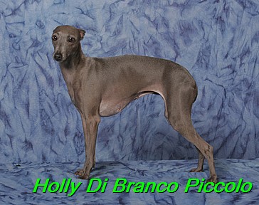 Holly Di Branco Piccolo 001 (47)