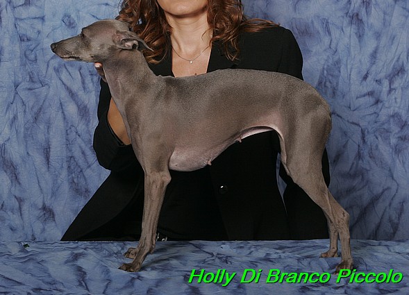 Holly Di Branco Piccolo 001 (53)