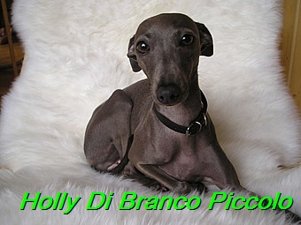 Holly Di Branco Piccolo 001 (55)