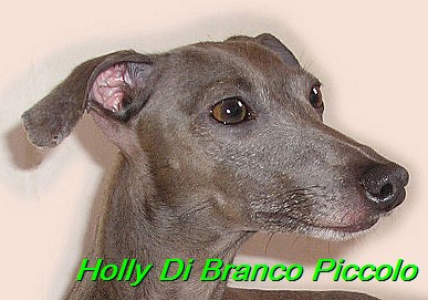 Holly Di Branco Piccolo 001 (63)