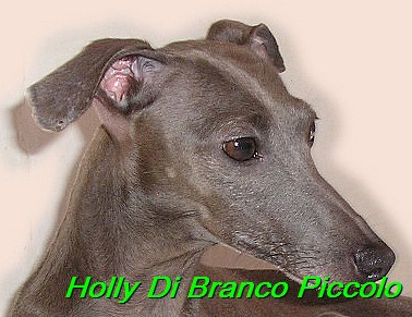 Holly Di Branco Piccolo 001 (66)