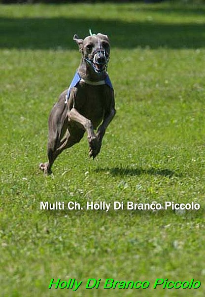 Holly Di Branco Piccolo 02 (3)