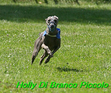 Holly Di Branco Piccolo 02 (35)