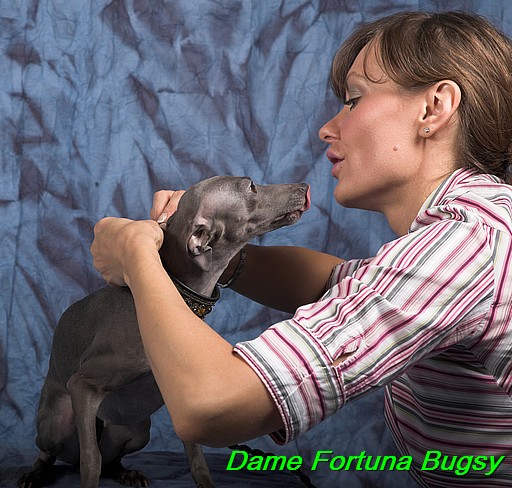 Dame Fortuna Bugsy (5)