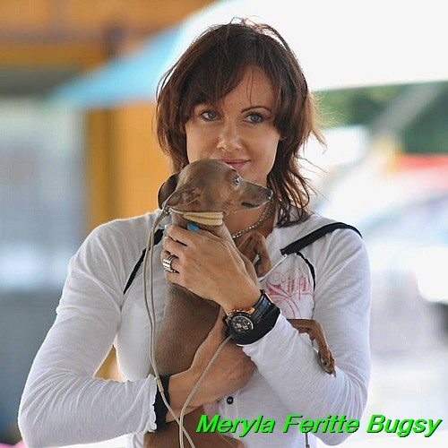 Meryla Feritte Bugsy 1 (34)