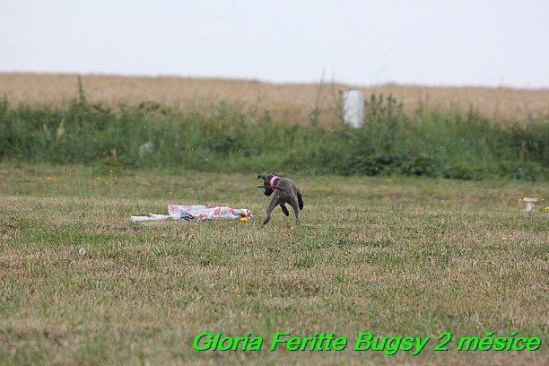 Gloria Feritte Bugsy 2 mesice (11)