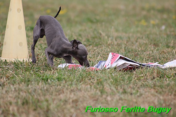 Furiosso Feritte Bugsy 9 mesicu (75)