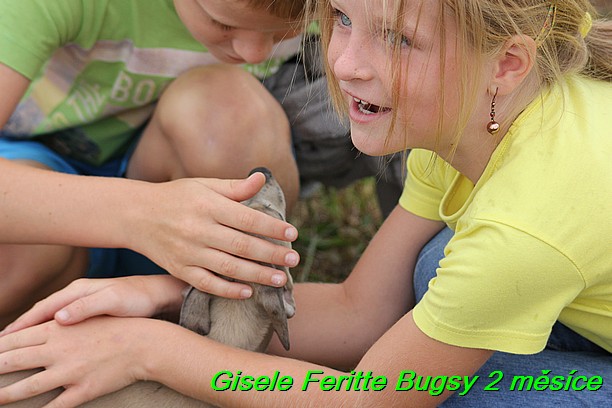 Gisele Feritte Bugsy 2 mesice (1)