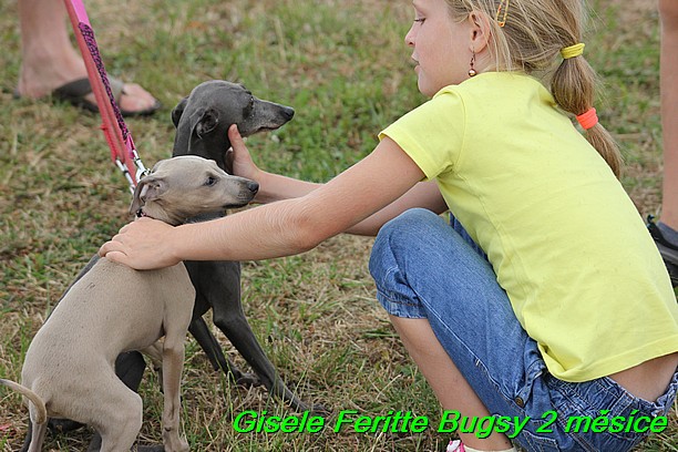 Gisele Feritte Bugsy 2 mesice (3)