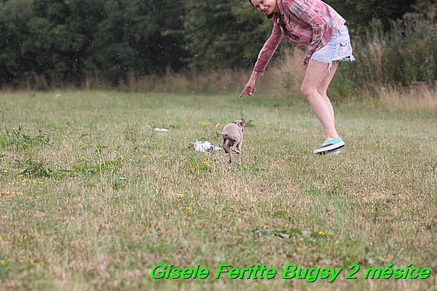 Gisele Feritte Bugsy 2 mesice (14)