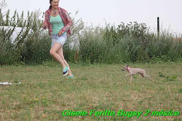 Gisele Feritte Bugsy 2 mesice (16)