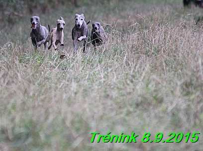 Trenink 8.9.2015 (120)