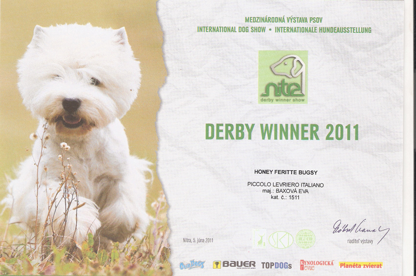 HONEY DERBY WINNER SK 2011