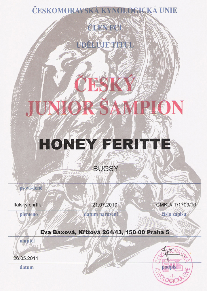 HONEY  JUNIOR CHAMPION CZ