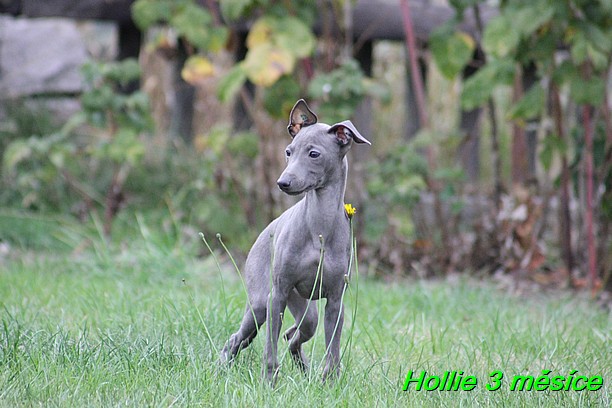 Hollie 3 mesice (14)