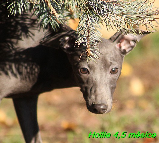 Hollie 4,5 mesice (13)