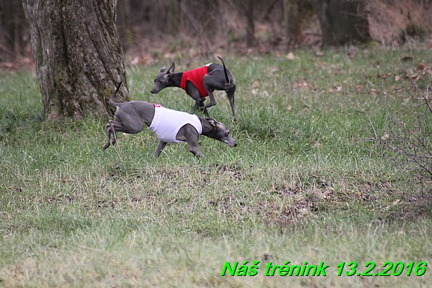 Náš trénink 13.2.2016 (13)