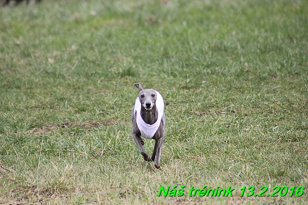 Náš trénink 13.2.2016 (20)