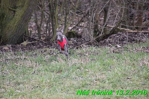 Náš trénink 13.2.2016 (21)